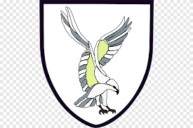 Image result for Swansea Rfc