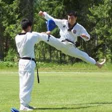 Image result for Kees Tae Kwon Do