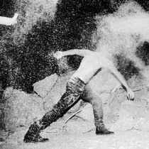 Image result for Lewandowsky-Lutz