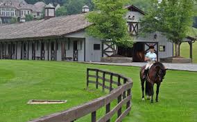 Image result for Annandale Equestrian Centre