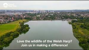 Image result for Welsh Harp Sailing Association
