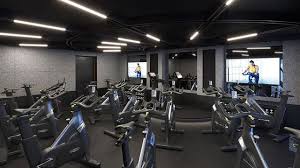 Image result for Pulse 220 Fitness Centre
