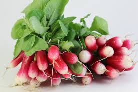 Image result for Radieschen