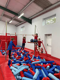 Image result for Pinewood Gymnastics Club