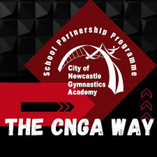 Image result for City Of Newcastle Gymnastics Academy
