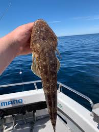 Image result for Dulverton Angling Association