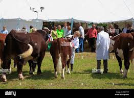 Image result for Farnley Tyas  BC