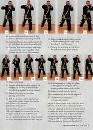 Image result for Cardiff Choi Kwang-Do