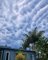 Attēlu rezultāti vaicājumam “Mammatus”