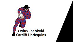 Image result for Cardiff Harlequins