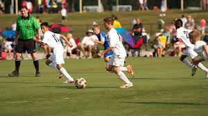 Image result for Spen Valley Vipers