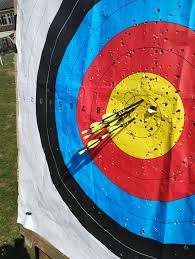 Image result for Atkings Archers