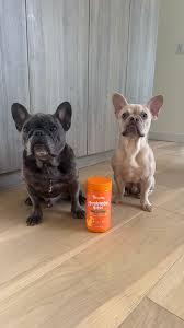 Image result for bulldog bowls club