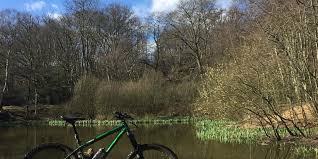 Image result for Epping Forest Mountain Bike Club
