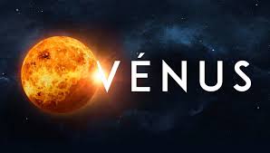 Image result for venus