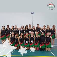 Image result for Astra Netball Club