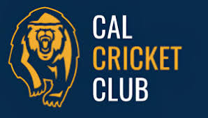 Image result for Caldy Cricket Club