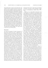 Attēlu rezultāti vaicājumam “Barbeyella minutissima spores”