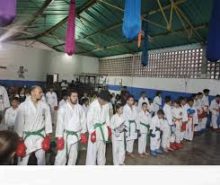 Image result for Sandokai Karate