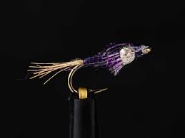 Attēlu rezultāti vaicājumam “Badhamia bethelii stalked”