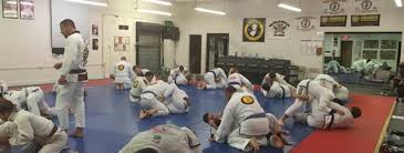 Image result for Martial Arts New Jersey