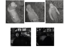 Image result for Windermere Rugby Club