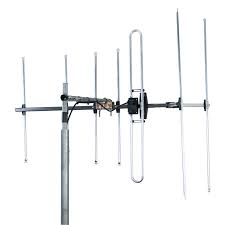 Image result for digitenne yagi