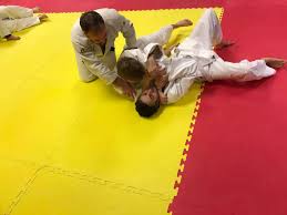 Image result for BJJ in Luton