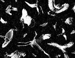 Attēlu rezultāti vaicājumam “Phengaris arion upperside”