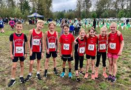 Image result for Langley Rockets Badminton Club