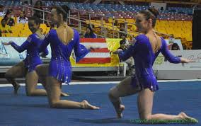 Image result for L&G Acrobatic Gymnastics