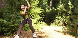 Image result for The Go Ape Experience (Delamere Forest)