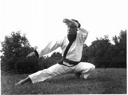 Image result for Kees Tae Kwon Do
