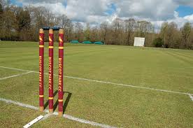Image result for Buscot Park Cricket Club