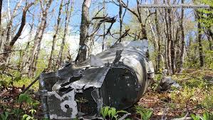 Image result for Newbury & District Model Aircraft