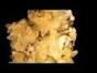Chalcopyrite (Gold, Minerals, Chalcopyrite Crystals) @ Pyrite Jewelry.