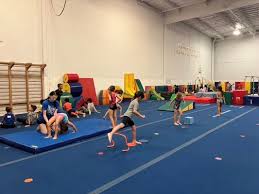 Image result for Wyre Forest Gymnastic School
