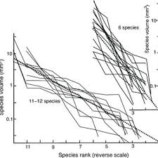 Attēlu rezultāti vaicājumam “Licea pygmaea spores”