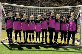 Image result for Beecholme Belles Banstead FC