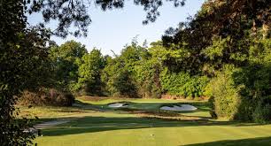Image result for Hindhead Golf Club