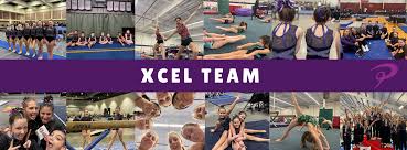 Image result for Elite Recreational Gymnastics Club