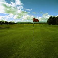 Image result for Brechin Golf Club