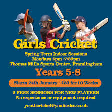 Image result for Yoxford Cricket Club