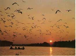 Descrição: http://t0.gstatic.com/images?q=tbn:ANd9GcR4-T5AGQjMYDQtB0jxSrmNTWDEmIX0N4cw9dSUmnVzfDiAliy5&t=1