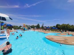 Image result for Chesterfield Swimming Club