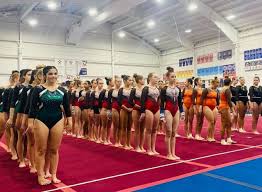 Image result for Worcestershire Gymnastics Academy