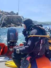 Image result for Reading Bsac