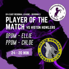 Image result for Thoroughbreds Netball Clubs