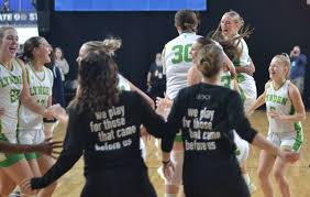 Image result for Elmbridge Girls Basketball Club