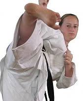 Image result for ZOKU SHOTOKAN KARATE (Baldock)